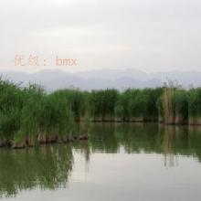 ǧ