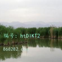 ǧ